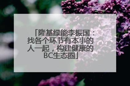 隆基绿能李振国：找各个环节有本事的人一起，构建健康的BC生态圈
