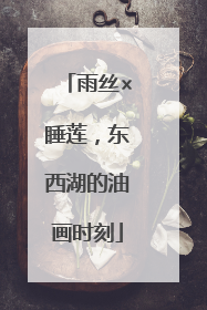 雨丝×睡莲，东西湖的油画时刻