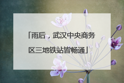 雨后，武汉中央商务区三地铁站皆畅通