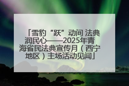 雪豹“跃”动间 法典润民心——2025年青海省民法典宣传月（西宁地区）主场活动见闻