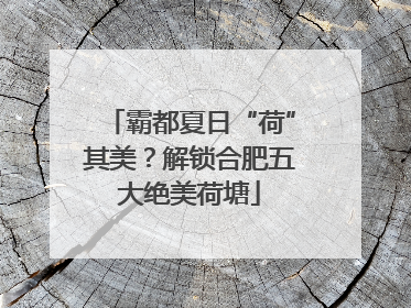 霸都夏日“荷”其美？解锁合肥五大绝美荷塘