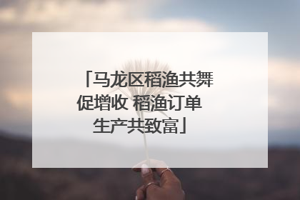 马龙区稻渔共舞促增收 稻渔订单生产共致富