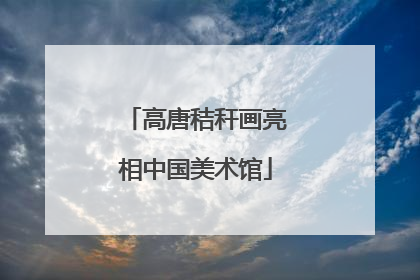 高唐秸秆画亮相中国美术馆