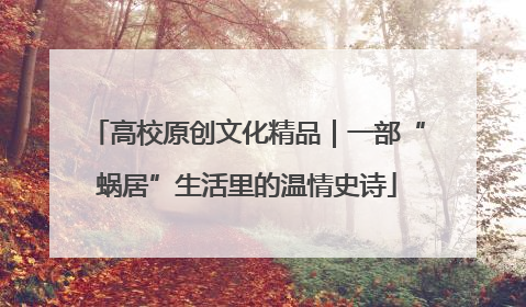 高校原创文化精品｜一部“蜗居”生活里的温情史诗