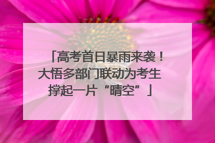 高考首日暴雨来袭！大悟多部门联动为考生撑起一片“晴空”