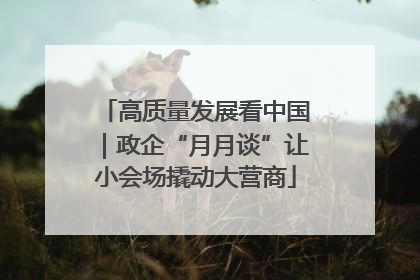 高质量发展看中国｜政企“月月谈”让小会场撬动大营商