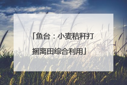 鱼台：小麦秸秆打捆离田综合利用
