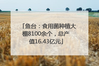鱼台：食用菌种植大棚8100余个，总产值16.43亿元