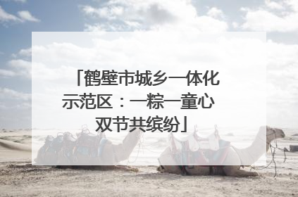 鹤壁市城乡一体化示范区：一粽一童心 双节共缤纷