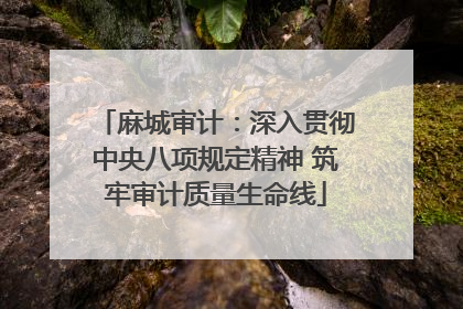 麻城审计：深入贯彻中央八项规定精神 筑牢审计质量生命线