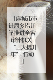 麻城市审计局多措并举推进全省审计机关 “三大提升年” 行动