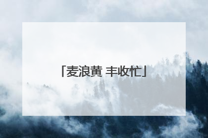 麦浪黄 丰收忙