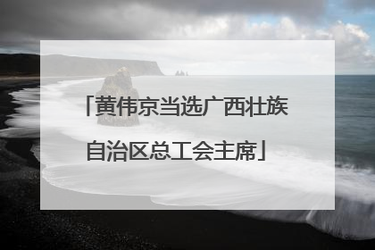 黄伟京当选广西壮族自治区总工会主席