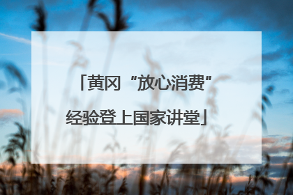黄冈“放心消费”经验登上国家讲堂