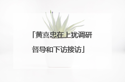 黄喜忠在上犹调研督导和下访接访