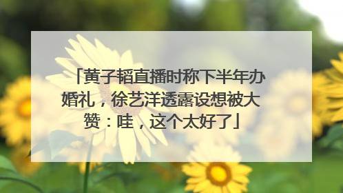 黄子韬直播时称下半年办婚礼，徐艺洋透露设想被大赞：哇，这个太好了
