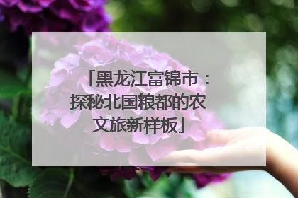 黑龙江富锦市：探秘北国粮都的农文旅新样板