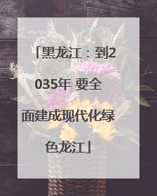 黑龙江：到2035年 要全面建成现代化绿色龙江