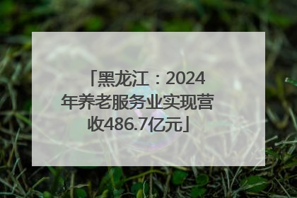黑龙江：2024年养老服务业实现营收486.7亿元