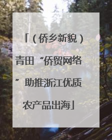 （侨乡新貌）青田“侨贸网络”助推浙江优质农产品出海