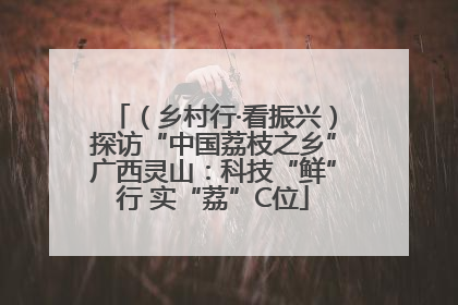 （乡村行·看振兴）探访“中国荔枝之乡”广西灵山：科技“鲜”行 实“荔”C位