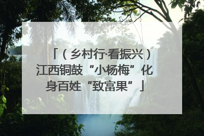（乡村行·看振兴）江西铜鼓“小杨梅”化身百姓“致富果”