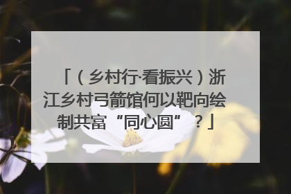 （乡村行·看振兴）浙江乡村弓箭馆何以靶向绘制共富“同心圆”？