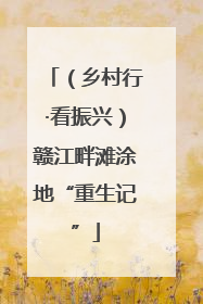 （乡村行·看振兴）赣江畔滩涂地“重生记”