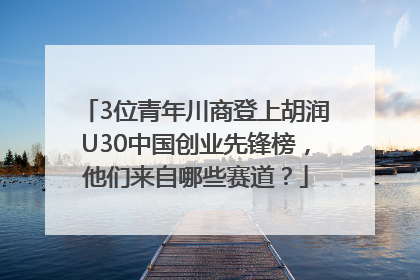 3位青年川商登上胡润U30中国创业先锋榜，他们来自哪些赛道？