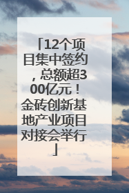 12个项目集中签约，总额超300亿元！金砖创新基地产业项目对接会举行