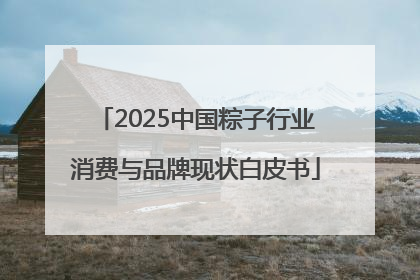 2025中国粽子行业消费与品牌现状白皮书