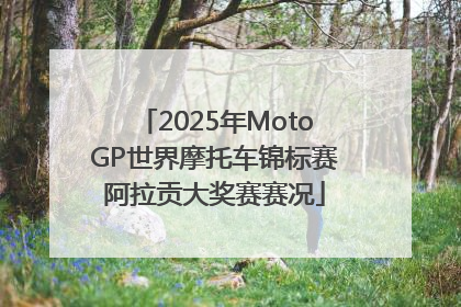 2025年MotoGP世界摩托车锦标赛阿拉贡大奖赛赛况