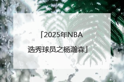 2025年NBA选秀球员之杨瀚森