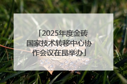 2025年度金砖国家技术转移中心协作会议在昆举办