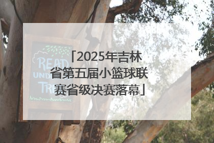 2025年吉林省第五届小篮球联赛省级决赛落幕