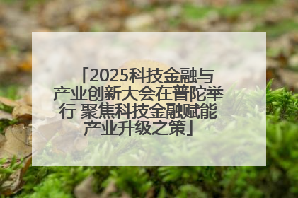 2025科技金融与产业创新大会在普陀举行 聚焦科技金融赋能产业升级之策