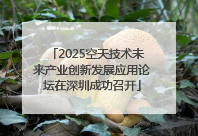 2025空天技术未来产业创新发展应用论坛在深圳成功召开