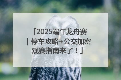 2025端午龙舟赛｜停车攻略+公交加密 观赛指南来了！