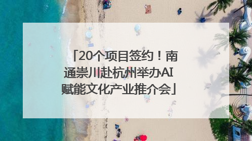 20个项目签约！南通崇川赴杭州举办AI赋能文化产业推介会