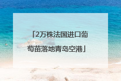 2万株法国进口葡萄苗落地青岛空港