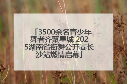 3500余名青少年舞者齐聚星城 2025湖南省街舞公开赛长沙站燃情启幕