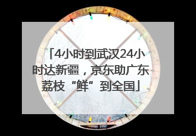 4小时到武汉24小时达新疆，京东助广东荔枝“鲜”到全国