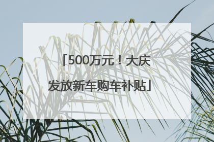 500万元！大庆发放新车购车补贴