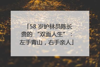 58 岁护林员陈长贵的 “双面人生”：左手青山，右手亲人