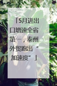 5月进出口增速全省第一，泰州外贸跑出“加速度”