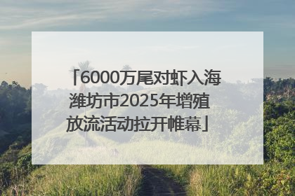 6000万尾对虾入海 潍坊市2025年增殖放流活动拉开帷幕