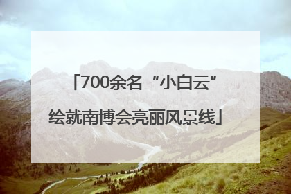 700余名“小白云”绘就南博会亮丽风景线