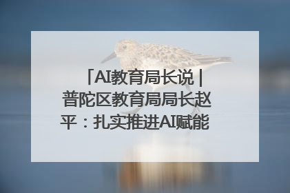 AI教育局长说 | 普陀区教育局局长赵平：扎实推进AI赋能教育，着力打造“适合教育”新体系