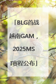 BLG首战越南GAM，2025MSI赛程公布