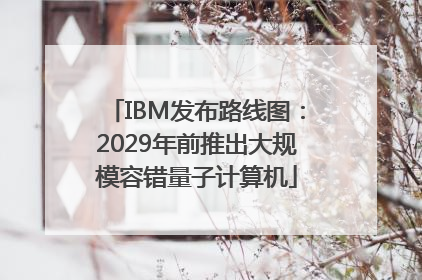 IBM发布路线图：2029年前推出大规模容错量子计算机